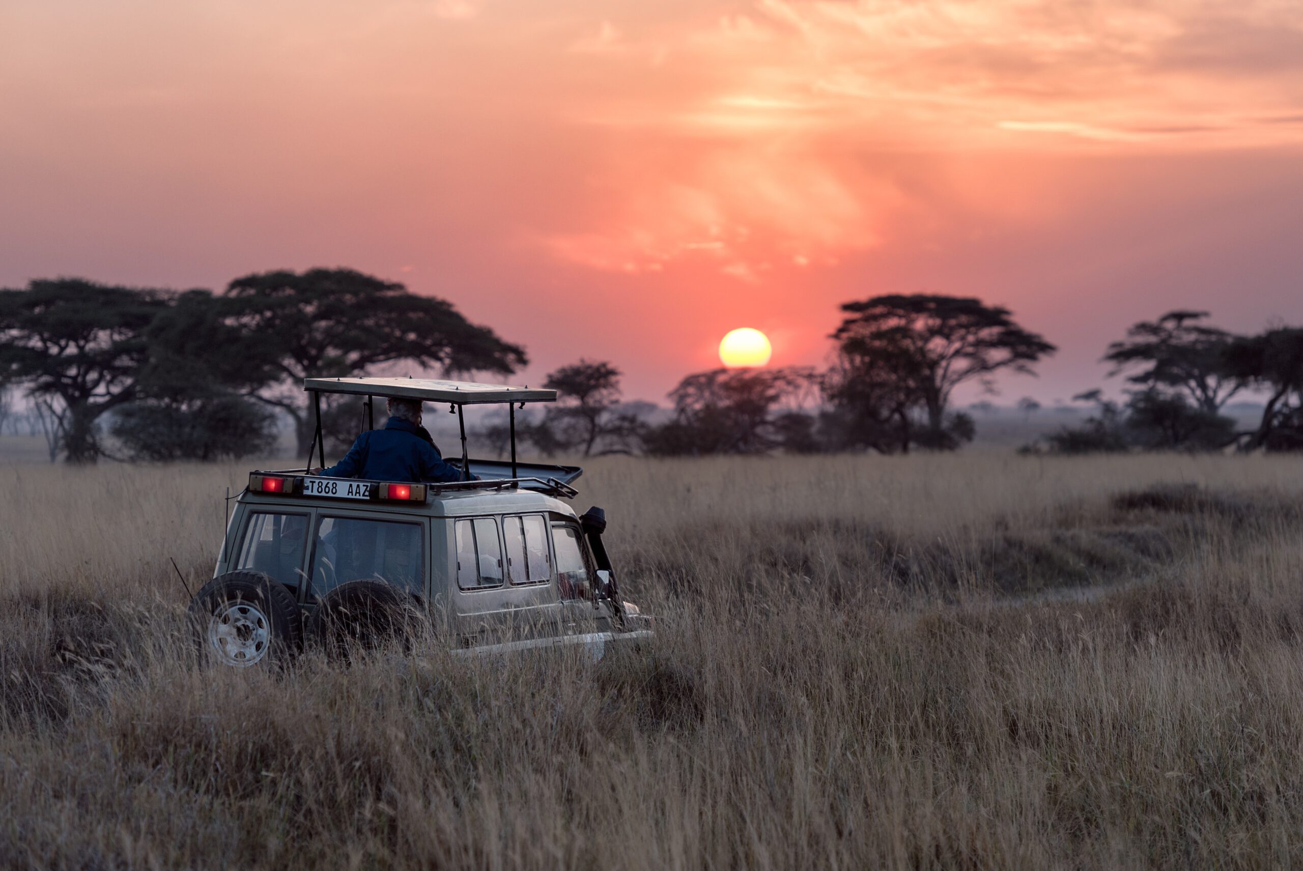 Safari on the Serengeti