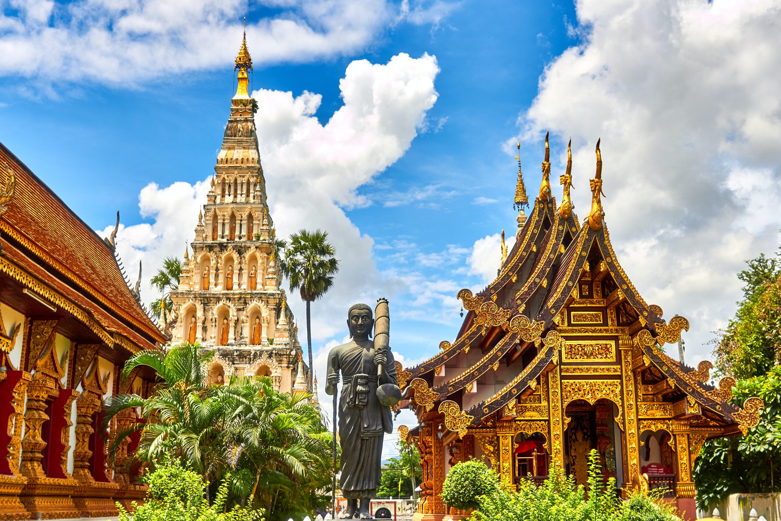 Things To Do In Surin, Thailand