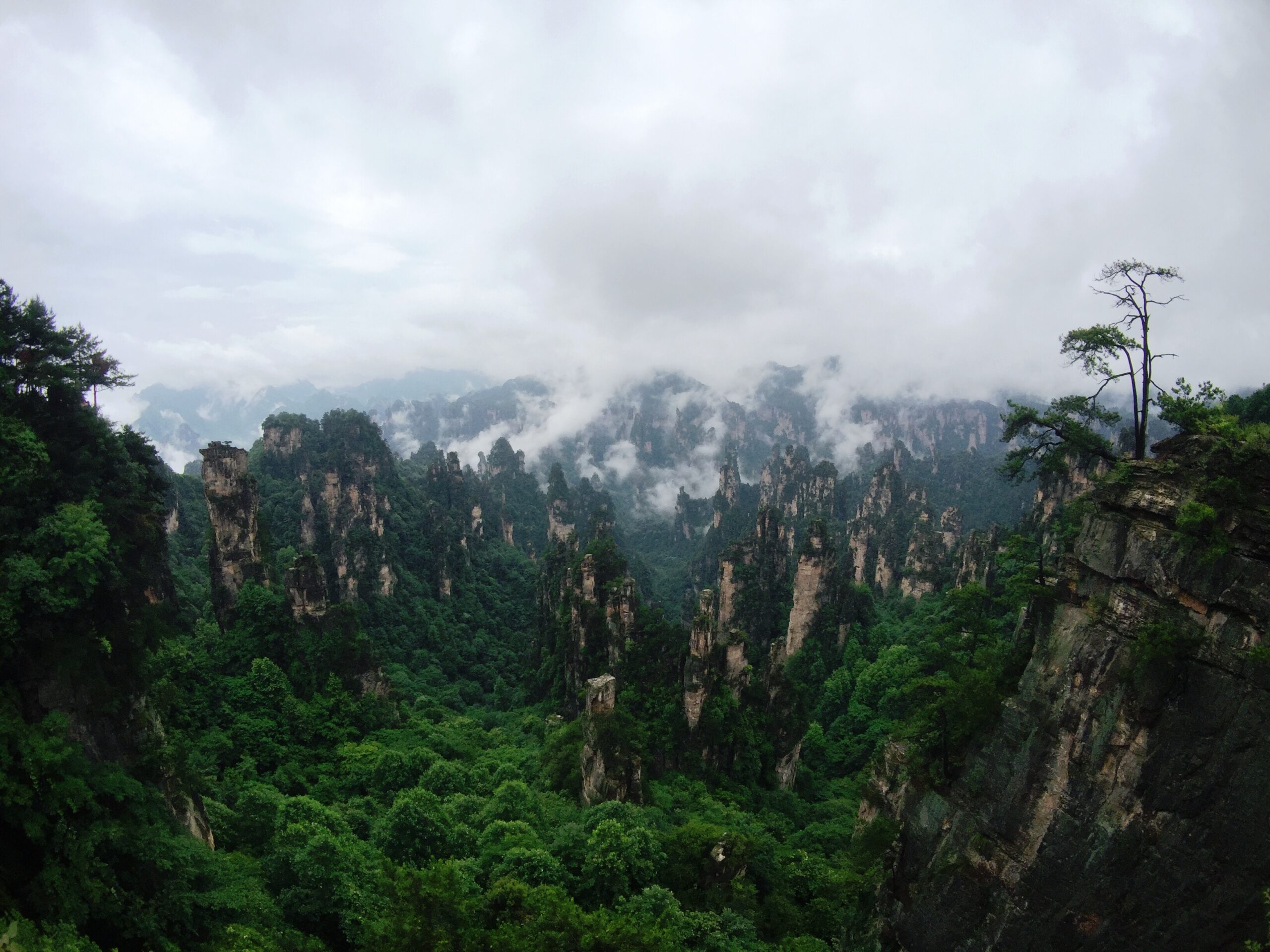 Visiting Zhangjiajie National Forest Park