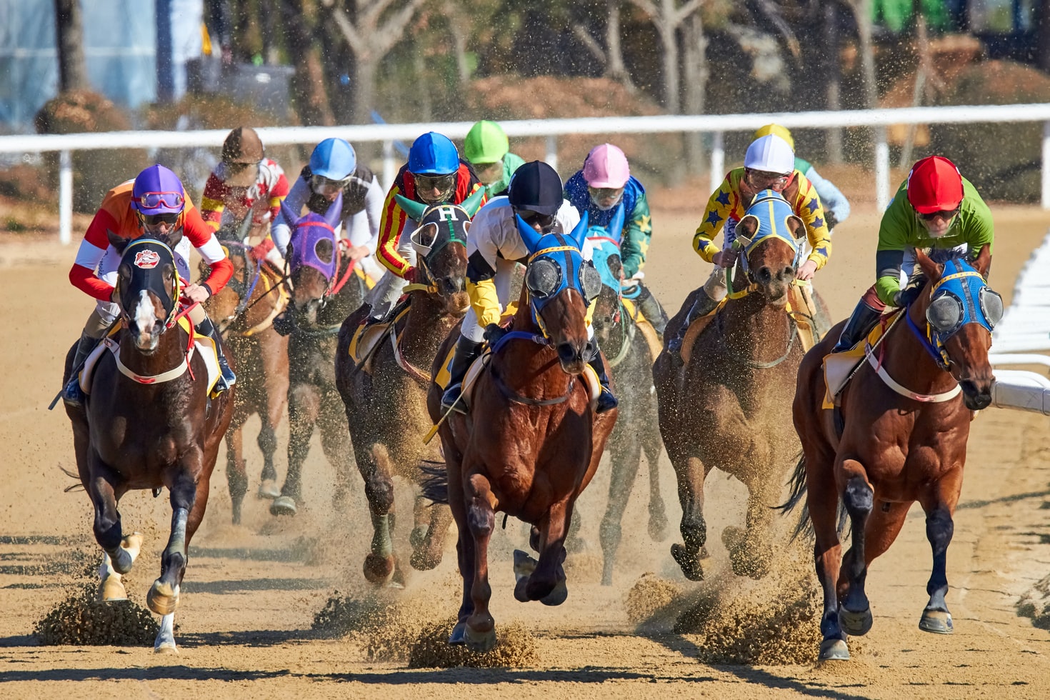 The biggest horse racing events on the planet