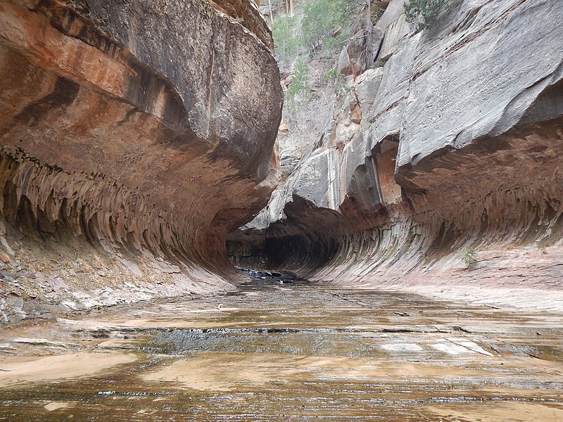 The Subway, a slot canyon within the Kolob Terrace section