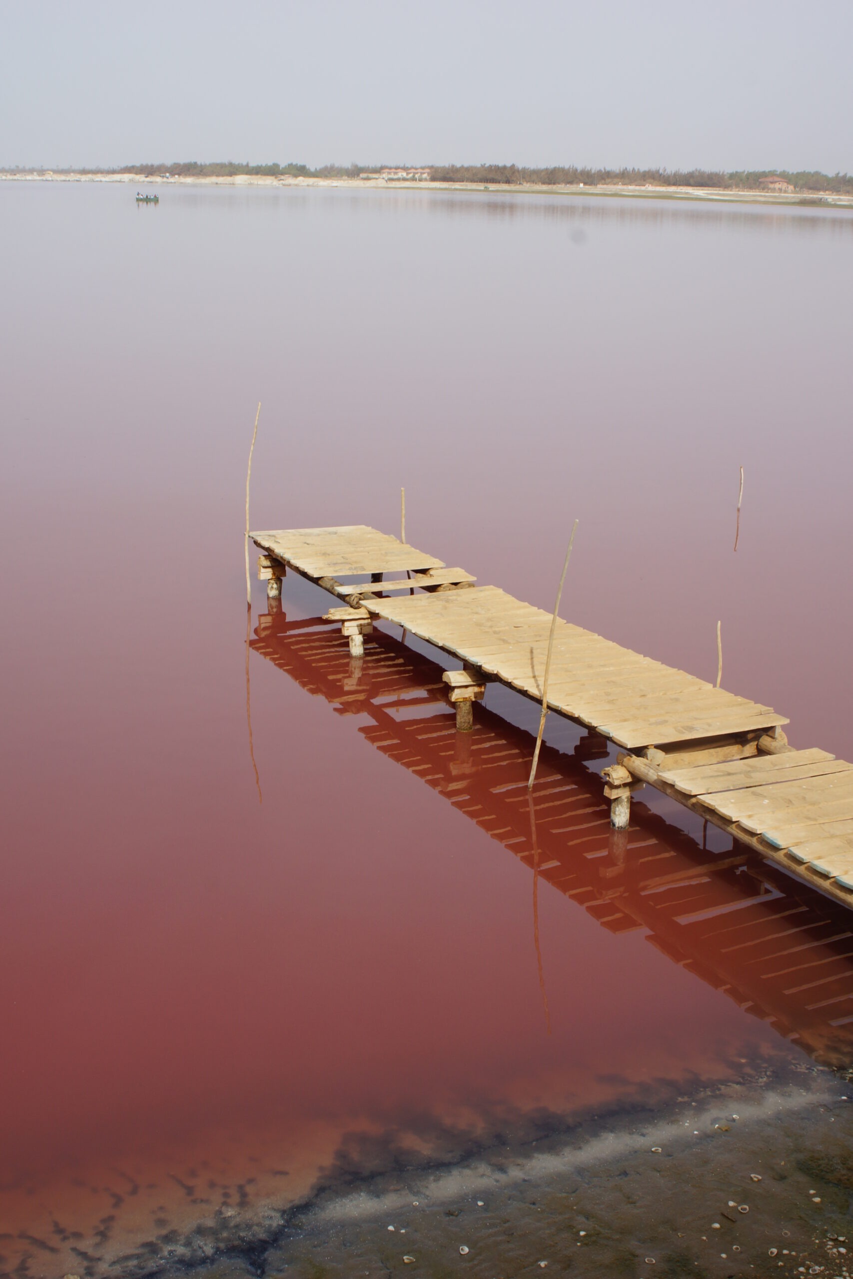 a full picture of the pink lake
