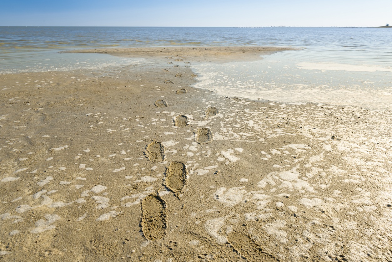 footprints in Makgadikgadi Lake