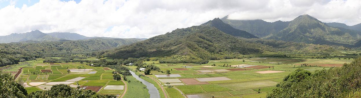 Hanalei-Valley-in-Northern-Kauai