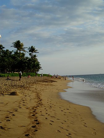 Kaanapali-Beach