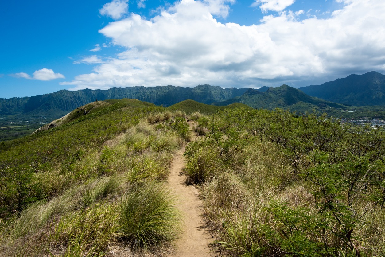 Kaiwa-Trail