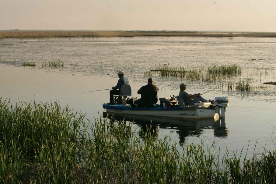 Men relaxing and fishing in a bass boat