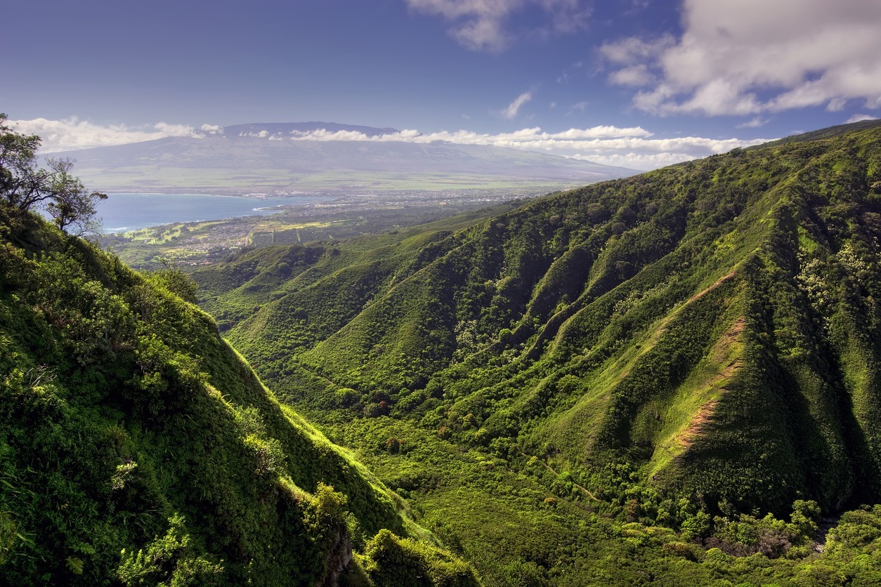 Trails-in-Maui-Hawaii