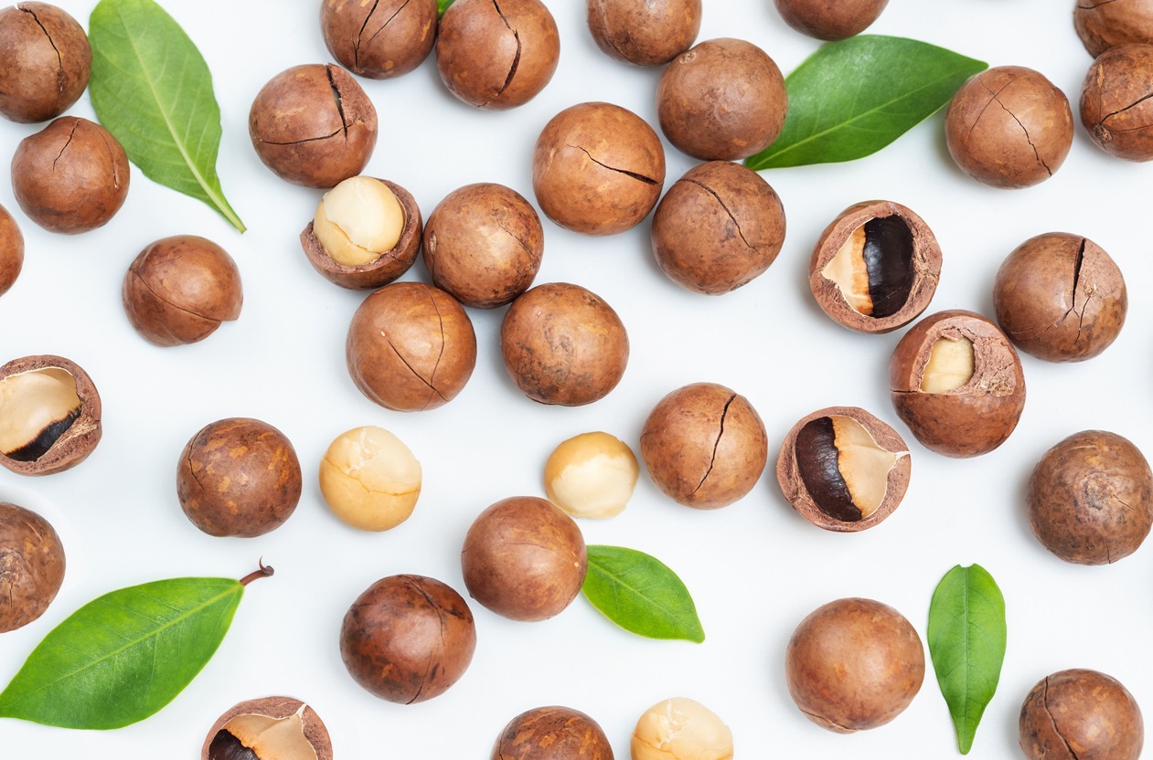 macadamia-nuts-with-leaves-flat-lay