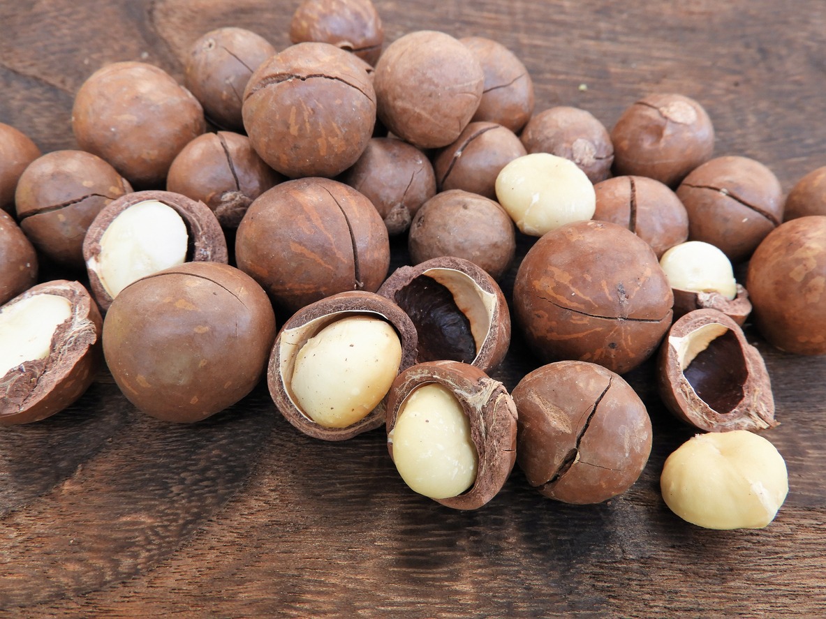 macadamia-nuts
